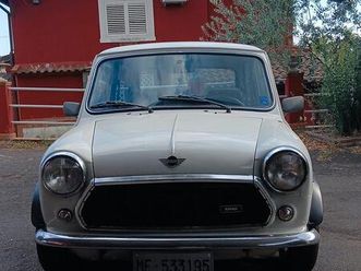 mini 1000cc