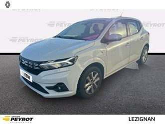 sandero eco-g 100 expression