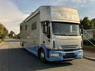 iveco eurocargo iveco stx paardevrachtwagen voor 5 paarden p — vrachtwagens — marktplaats