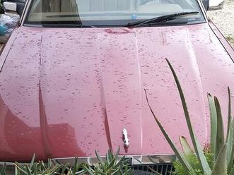 asi crs auto storica