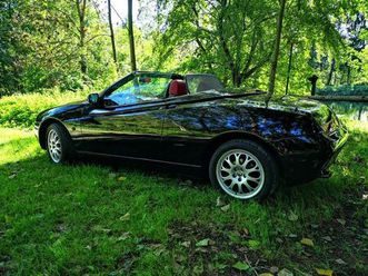 alfa romeo spider 916 - 2 besitzer
