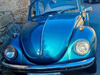 volkswagen - beetle