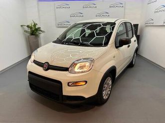 pandina pandina 1.0 firefly 65 cv hybrid icon