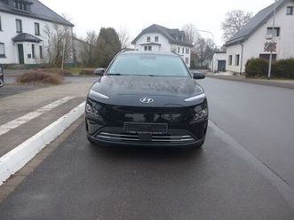 hyundai trend 64kw elektro 2wd navigation