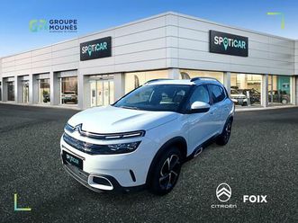 bluehdi 130 s&s eat8 c-series