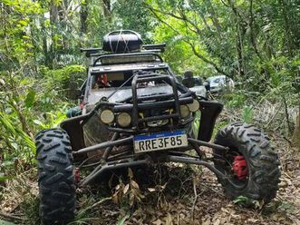 volkswagen buggy 1.6 8v gasolina 2p manual 2024