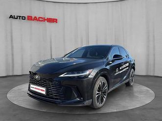 350h business 250ps / 8-fach bereift