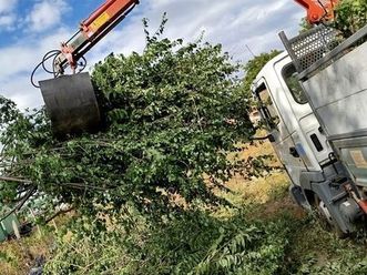 nissan atleon 110 nicolae balcescu