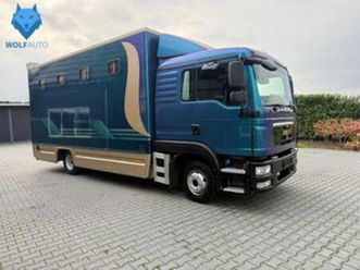 man tgl 4 paards paardenvrachtwagen truck roelofsen opbouw — vrachtwagens — marktplaats