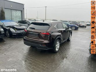 lexus nx 300h elegance + business awd