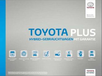 l1 electric meister*navigation