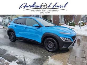 intro 2wd + standheizung marderscheuche winterr.