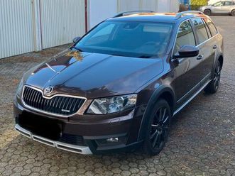skoda octavia scout 4x4 standheizung