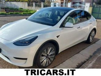model y rwd permute unicopropr. ok neopat. gancio traino