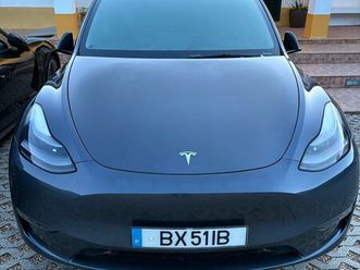 tesla model y standard rwd