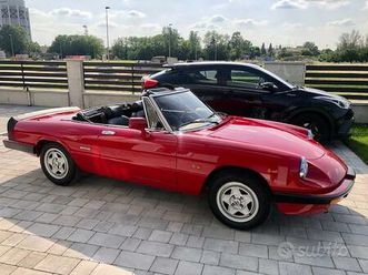 alfa spider