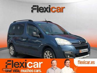 multispace feel bluehdi 100