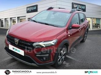 iii stepway 1.0 eco-g 100 confort 22