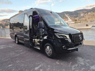 minibus sprinter vip