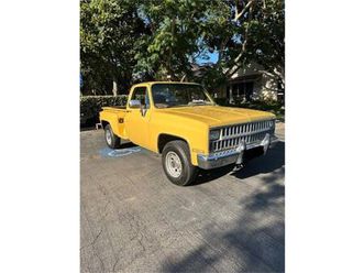 1981 chevrolet c20 for sale