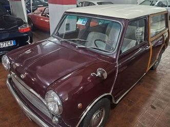 mini innocenti