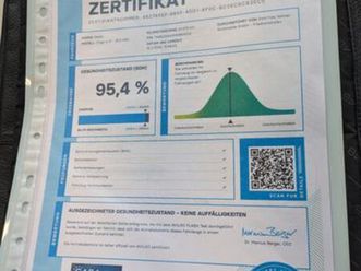 iv style / shz / climatronic / whz / led.