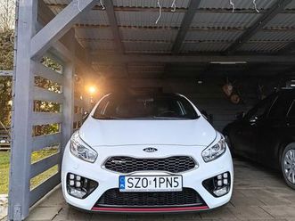 kia ceed pro gt 1.6 tgdi rybnik • olx.pl