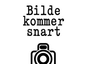 lr dual motor plus pilot