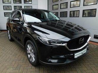 sky-g194 awd sportsline matrix/mrcc/bose/leder/gsd/at