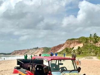 volkswagen buggy 1.6 8v gasolina 2p manual 1989