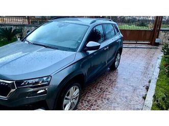 skoda karoq 2024 1.0 tsi