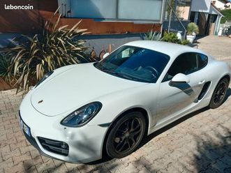 porsche cayman 981