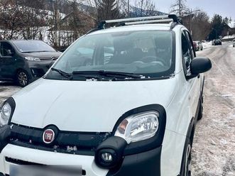 panda city cross mildhybrid