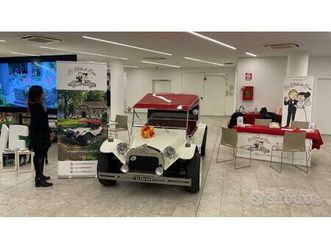 volkswagen dunme buggy