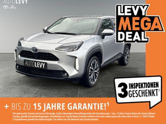 elegant monotone + vision pack