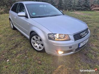 audia3 1.6 mpi żary - sprzedajemy.pl