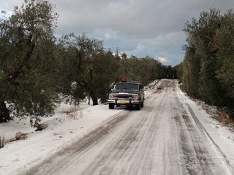 jeep grand wagoneer 1986 v8 5.9 asi