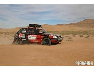 peugeot 205 raid