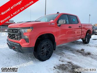 custom trail boss crewcab diesel boite 6.6