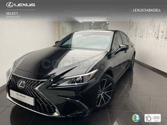 vehículo de sustitución