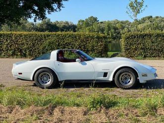 corvette targa mit h kennzeichen