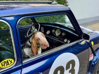 ② classic mini british open 1993 — mini — 2ememain