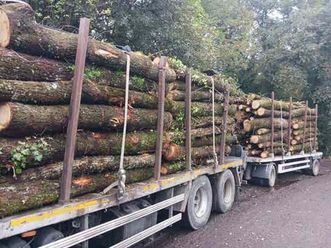 camion forestal renault - premium 420 d