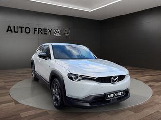 advantage led kamera navi