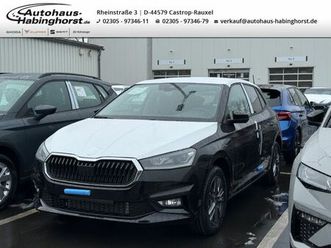 skoda fabia iv 1.0 tsi dsg balance led acc shz alu sma