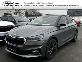 skoda fabia iv 1.0 tsi style navi acc shz 17alu