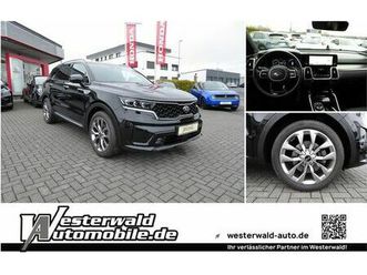 2.2 crdi dct8 awd platinum / ahk / 1. ha