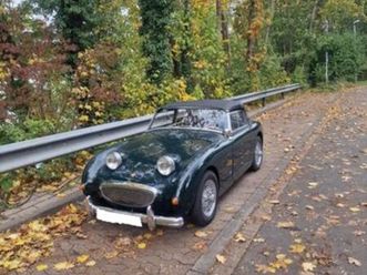 other austin healey sprite mark1 -frosch-froscha...