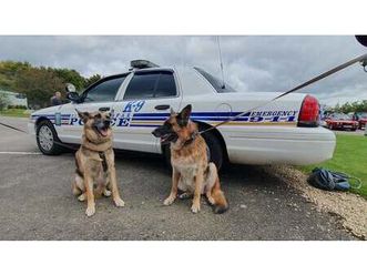 2010 ford crown victoria
