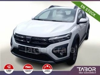 iii stepway 1.0 eco-g 100 confort 22